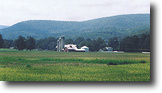 New York Waterfront 200 Acres Valuable Flat Farm Land w/Stream Frontage
