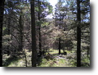 New Mexico Land 1 Acres Chalets 2C Amended Lot 340