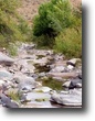 Arizona Ranch Land 40 Acres Knight Creek Rd.
