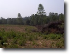 Tennessee Farm Land 9 Acres 911 Moore Lane 9.49 ac