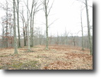 Tennessee Farm Land 14 Acres Lot 2 Benton Tidwell Rd