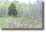 Kentucky Farm Land 24 Acres Tract 11 Cumberland Woods Rd