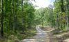 excellent hunting preserve or development property rockwood tennessee