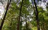 excellent hunting preserve or development property rockwood tennessee