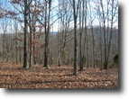 Acreage for Mountain Retreat or Horses