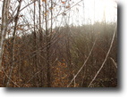 Tennessee Farm Land 15 Acres Excellent Home Site Near Oak Ridge