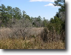 Carolina Shores Acreage & Water Access