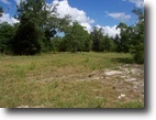 100 Acres/Central Florida, OWNER FINANCING