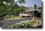 300 acre producing vineyard & horse ranch
