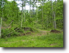 Kentucky Hunting Land 478 Acres Britton Tract