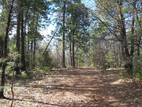 land mt home orchard pond creek property shingletown california
