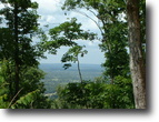 Arkansas Hunting Land 313 Acres Arkansas Ozark VIEW!
