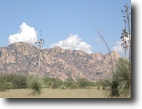 108 Acres - Gated Community
