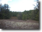 Upper Peninsula Acreage Homesite - Gwinn