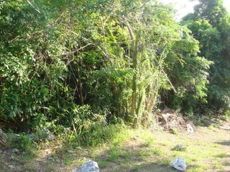 View of lot