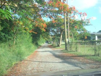 Road to lot