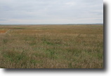120 Acres - Farm & Hunting Land - ND