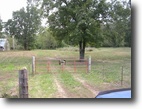 65 Acres m/l with mature timber & pasture