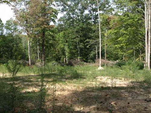 lot sand lick rd land in ky property