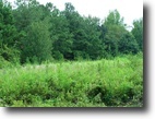 Alabama Land 15 Acres Hundry Tract