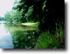28 country acres with 1,400' river front