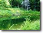 165 acres in Delaware County NY.