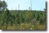 Tennessee Waterfront 731 Acres Bluff that boarders Fall Creek Falls