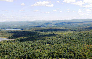 higley flow forest new york