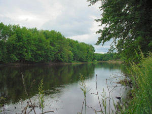 black river forest new york