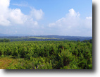 Tennessee Farm Land 1 Acres Unlimited Potential Property