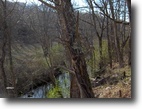 Tennessee Ranch Land 169 Acres 168.66 ac Hwy 141 West in Dekalb Co. TN