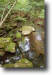 Tennessee Waterfront 219 Acres Holly Ridge