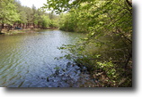 Tennessee Farm Land 5 Acres Smartt Cabin