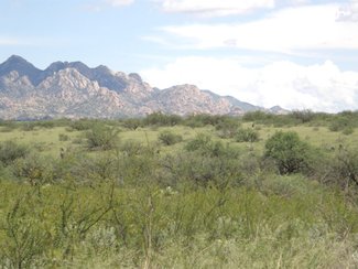 Another view looking southeast. This picture taken in September after the summer monsoon rains.