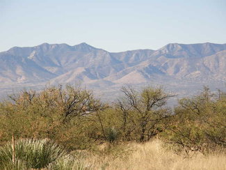 A winter picture of the Whetstone Mountains across the valley to the west.