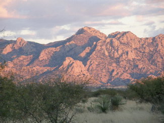 The Dragoon Mountains near sunset.