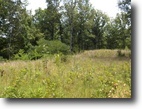 Tennessee Farm Land 7 Acres 7.29 ac James White Rd. Celina, TN