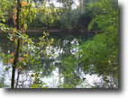 29.95 acre Long Branch Road