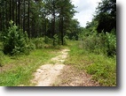Alabama Hunting Land 40 Acres Lonesome 40
