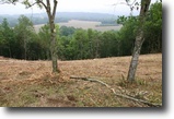 441 acres north of Chattanooga REDUCED