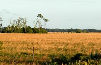 View of the property