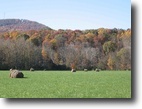 60 acres in the Sequatchie Valley