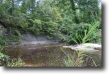 114 acres south of FT Benning REDUCED