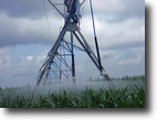 1526 acre farm in South GA
