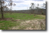 250 acres of pastures and oaks REDUCED