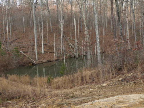 land old baker ln in crawford tn property