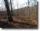 Tennessee Farm Land 7 Acres 7.26 ac Deer Creek Rd. Crawford TN