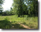 Tennessee Farm Land 10 Acres 10 ac. York Hwy
