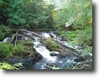 Famous Carp River Acreage with Waterfall!