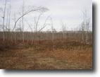 Tennessee Hunting Land 167 Acres Huge Tract With Developmental Potential